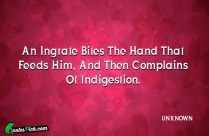 An Ingrate Bites The Hand Quote