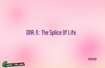 DNA N The Splice Of