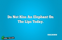 Do Not Kiss An Elephant Quote