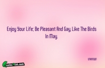 Enjoy Your Life Be Pleasant Quote