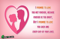 I Promise To Love You Quote