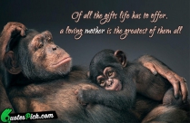 Of All The Gifts Life Quote