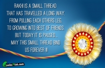 Rakhi Is A Small Thread Quote