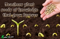 Teachers Plant Seeds Of Knowledge Quote