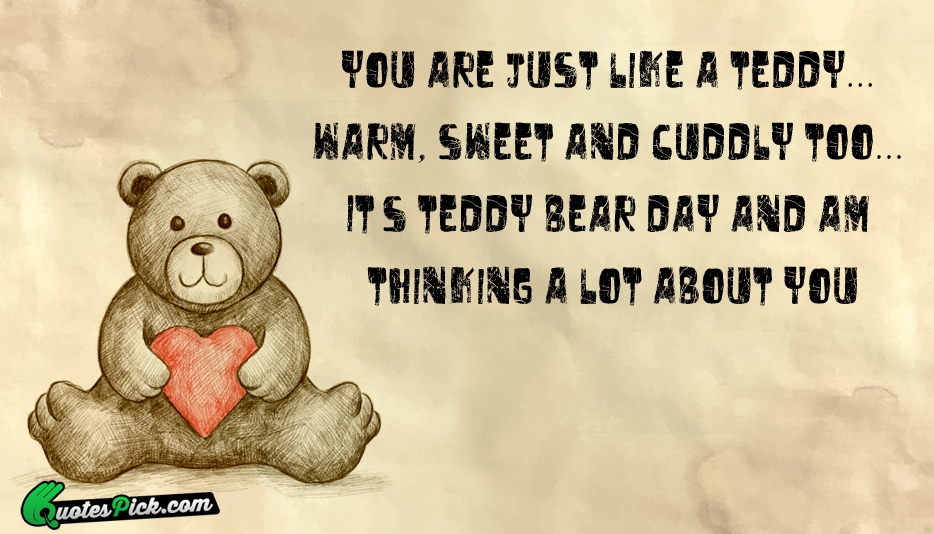 You Are Just Like A Teddy Quote by Unknown