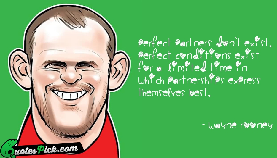 Perfect Partners Do Not Exist Perfect Quote by Wayne Rooney